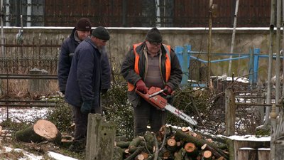 У Рівному на кладовищі Грабник зрізали вікові дерева У Рівному на кладовищі Грабник зрізали вікові дерева