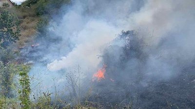 В Одесі спалахнули схили на Трасі здоров'я