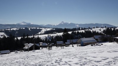 Карпатський мед - смачний бренд Карпатський мед - смачний бренд