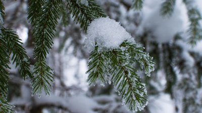 Погода Луцьк — прогноз на 21-23 лютого у Волинській області