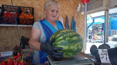 Кавуни і дині на ринках Житомира: звідки їх везуть та яка вартість Кавуни і дині на ринках Житомира: звідки їх везуть та яка вартість