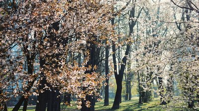 Нові температурні рекорди на Франківщині