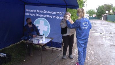 У Полтаві відновили планове щеплення тварин від сказу У Полтаві відновили планове щеплення тварин від сказу