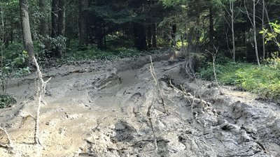марафоннннн екологія марафоннннн екологія