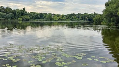 Річка у Вінниці