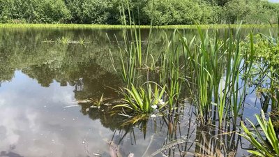 Річка Удай у Прилуках Річка Удай у Прилуках