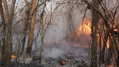 «Ми всі хотіли туди повернутися»: історія пожежника, який боровся з вогнем у Чорнобилі «Ми всі хотіли туди повернутися»: історія пожежника, який боровся з вогнем у Чорнобилі