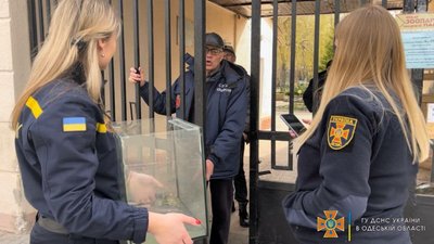 До пожежної частини в Одесі підкинули двох черепашок
