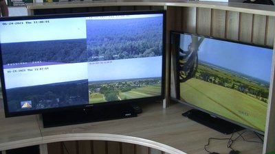 У волинських лісах працює понад 40 відеокамер: для чого вони потрібні