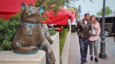 "Котячий" маршрут в Одесі "Котячий" маршрут в Одесі