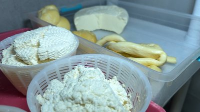 Розпочинали варити в малій позиченій каструлі, нині виготовляємо 20 сортів: сім'я з Волині 10 років робить сир Розпочинали варити в малій позиченій каструлі, нині виготовляємо 20 сортів: сім'я з Волині 10 років робить сир