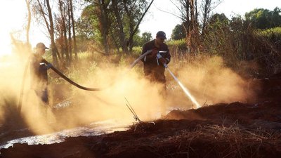 ДСНС намагається ліквідувати пожежі у трьох місцях на Київщині