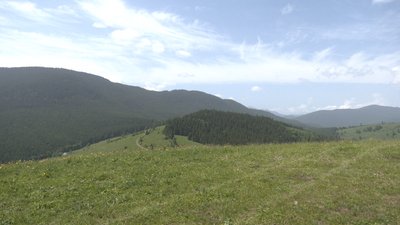 Бізнес на висоті. Як відкриття ринку землі впливає на прикарпатські полонини Бізнес на висоті. Як відкриття ринку землі впливає на прикарпатські полонини