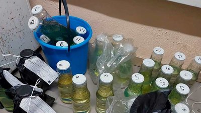 На херсонській нафтобазі СБУ викрила підпільне виробництво дизпалива На херсонській нафтобазі СБУ викрила підпільне виробництво дизпалива