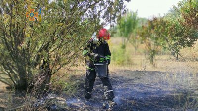 Згорілі вулики та отруєння чадним газом: рятувальники на Харківщині закликають не палити сухостій Згорілі вулики та отруєння чадним газом: рятувальники на Харківщині закликають не палити сухостій