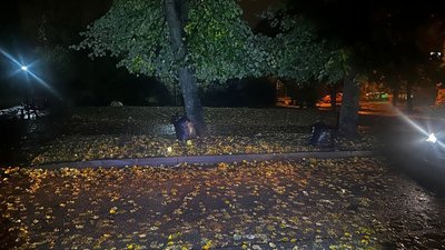 сквер, вулиця, тротуар