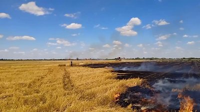 Миколаївщина — лідер зі збору врожаю Миколаївщина — лідер зі збору врожаю