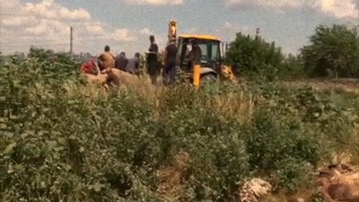 Російські окупанти розпочали ексгумацію першого масового поховання в районі кладовища Некрополь