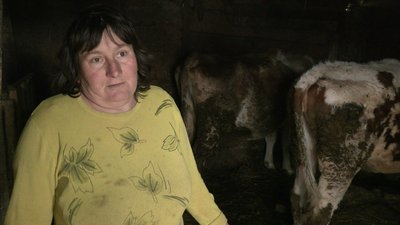 "Ще нічого не забулося": як на Конотопщині живе родина, яка рік тому ховалася в халабуді від обстрілів "Ще нічого не забулося": як на Конотопщині живе родина, яка рік тому ховалася в халабуді від обстрілів