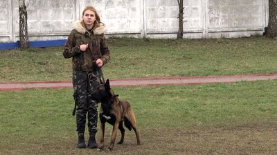 У Житомирі кінологи здавали випускні іспити: шукали злочинців та демонстрували дресуру собак У Житомирі кінологи здавали випускні іспити: шукали злочинців та демонстрували дресуру собак