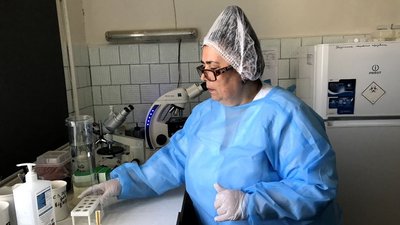 У Житомирі – сезон активності кліщів У Житомирі – сезон активності кліщів