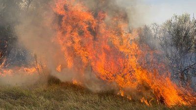У Миколаївській області сталася пожежа. Площа горіння ― майже п'ять гектарів