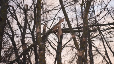 Позиції "на нулі": як на Сумщині захищають кордони України Позиції "на нулі": як на Сумщині захищають кордони України