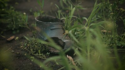 Черга на прощання: проєкт На щиті Черга на прощання: проєкт На щиті