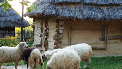 Українські скансени, які необхідно відвідати кожному Українські скансени, які необхідно відвідати кожному
