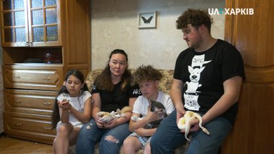 Пітони, равлики та лис: у Харкові подружжя ветеринарів доглядає сотню домашніх тварин