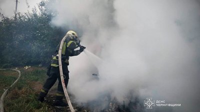 Двоє чоловік травмувалися під час пожежі автомобіля на Чернігівщині