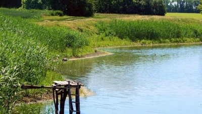 У Кривому Розі стічні води потрапили в ставок: екологи оцінили збитки в 46 мільйонів гривень