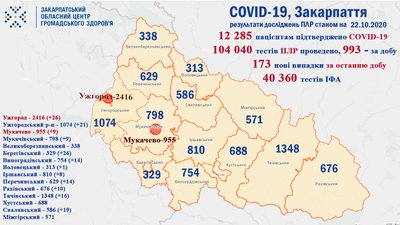 На Закарпатті за добу виявили 173 випадки COVID-19 На Закарпатті за добу виявили 173 випадки COVID-19