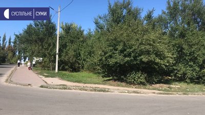 Мешканка багатоповерхівки у Сумах скаржиться на занедбану територію біля будинку Мешканка багатоповерхівки у Сумах скаржиться на занедбану територію біля будинку