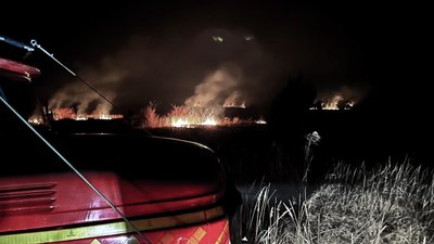 Пожежа через спалювання сухої трави на Волині, 26 лютого 2025