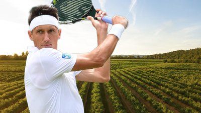 Тенісист Сергій Стаховський виготовляє вино на Закарпатті за французькою технологією