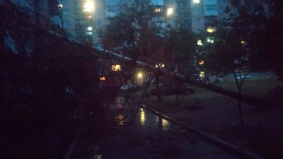 Наслідки негоди на Волині: вітер валив дерева на авто та будинки Наслідки негоди на Волині: вітер валив дерева на авто та будинки