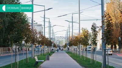 Вінничанин пропонує створити алею парасольок на вулиці Замостянській