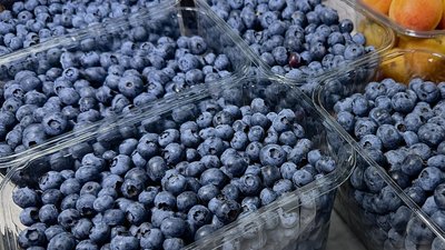 Скільки коштує лохина у Чернівцях