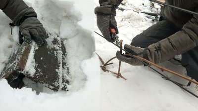 Садівник утеплює виноград до сильних морозів, Хмельницький, січень 2026 року
