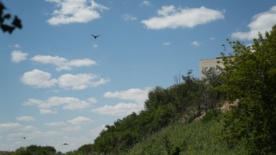 Погода Запоріжжя 15 вересня: мінлива хмарність