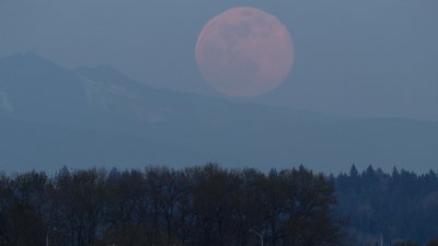 Над Землею піднявся Квітковий Місяць. Як він виглядав з різних куточків світу