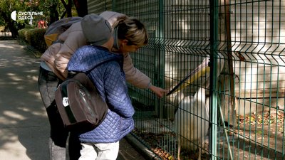 Військові врятували пелікана, зараз він в Одеському зоопарку