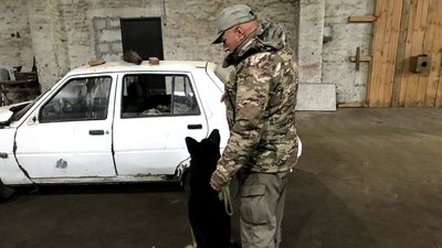 Десять службових вівчарок передали волонтери з Брусилівщини прикордонникам Житомирщини Десять службових вівчарок передали волонтери з Брусилівщини прикордонникам Житомирщини