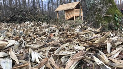 Cіль, овочі і сіно: в лісництві на Волині встановили нові годівниці для звірів