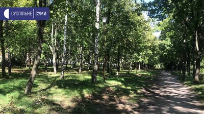 Мешканка багатоповерхівки у Сумах скаржиться на занедбану територію біля будинку Мешканка багатоповерхівки у Сумах скаржиться на занедбану територію біля будинку