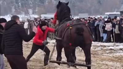 Коні, фестиваль, Пороги, Франківщина, UAnimals
