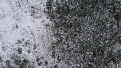 рейд на поліссі рейд на поліссі