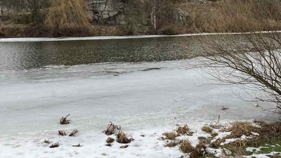 На Житомирщині врятували з крижаної води чоловіка та його собаку