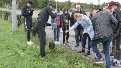 Дерева та кущі висаджували на трьох локаціях Ужгорода в рамках акції "Мільйон дерев за добу"